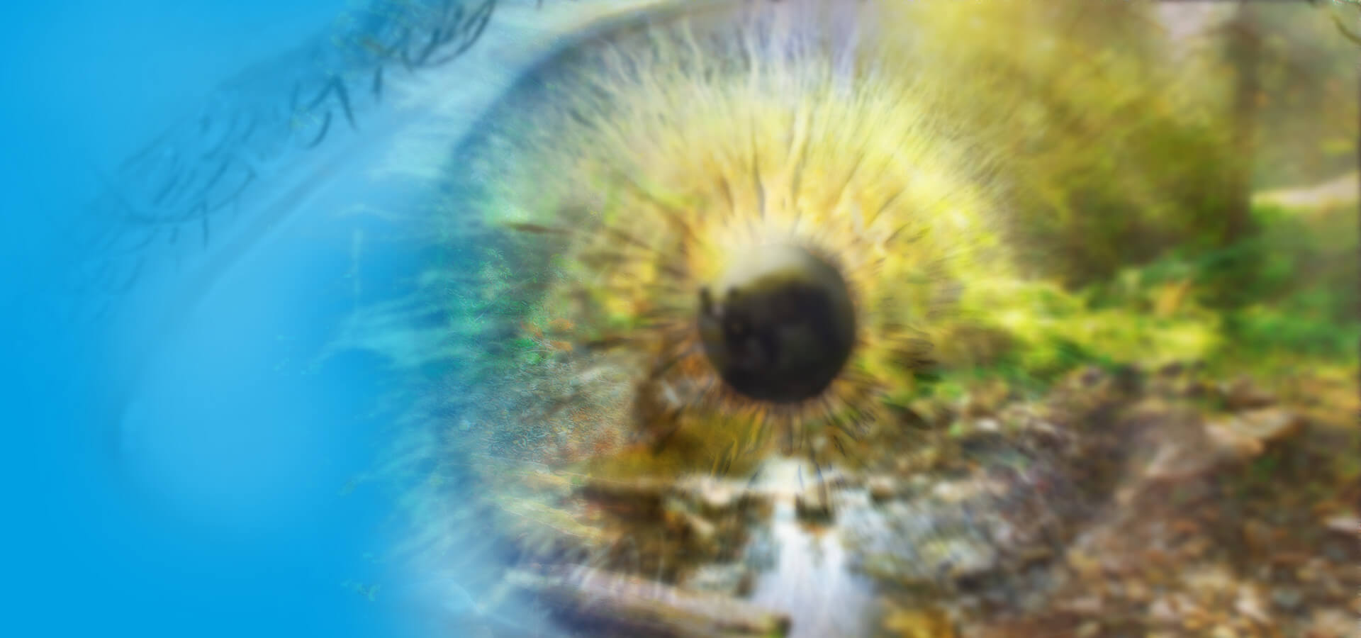 saskatchewan-optometrists-banner1of5